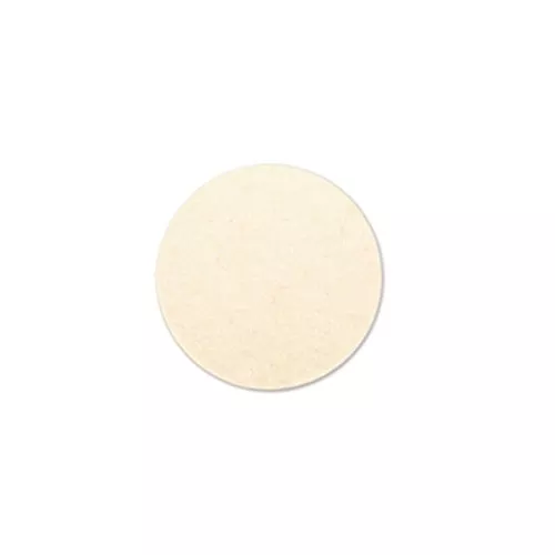 GT 3″ Reusable Glass Polishing Pads, Hook and Loop – SRPP-3V