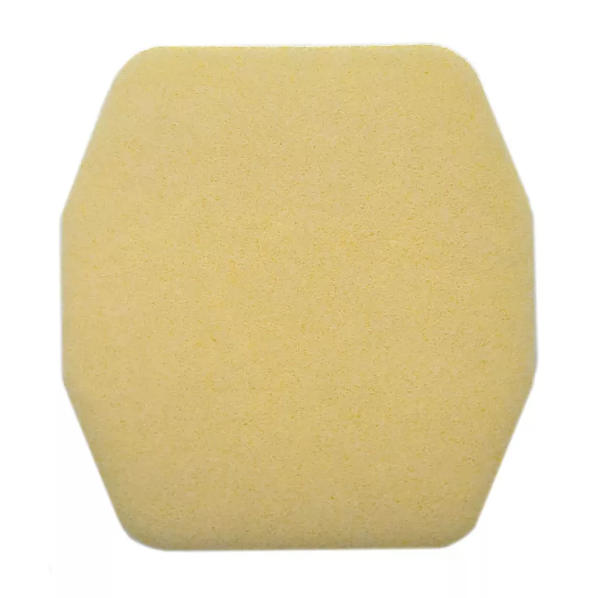 Tire Dress Express Replacement Pad